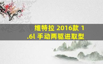 维特拉 2016款 1.6l 手动两驱进取型